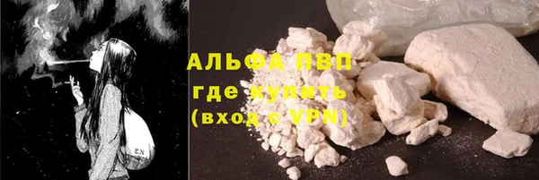 стаф Нефтегорск