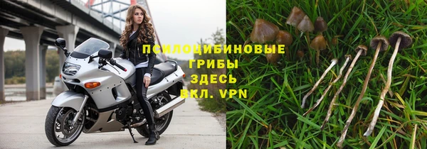 эйфоретик Нея