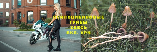 скорость Нефтекумск