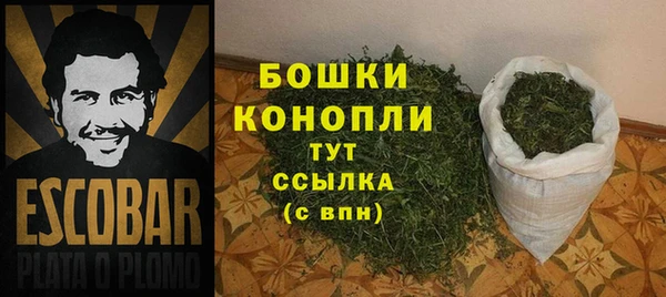 стаф Нефтегорск