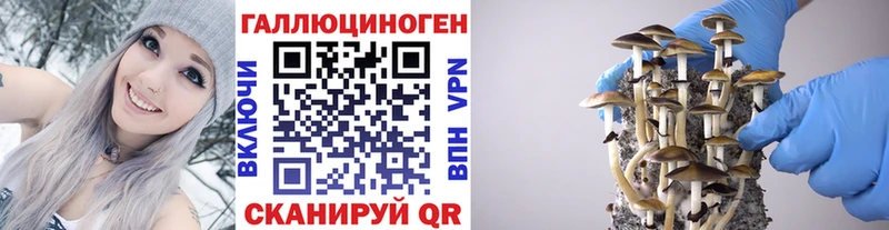 Галлюциногенные грибы мицелий  хочу наркоту  Эртиль 
